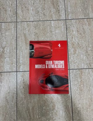 Eduzione Gran Turismo Ferrari