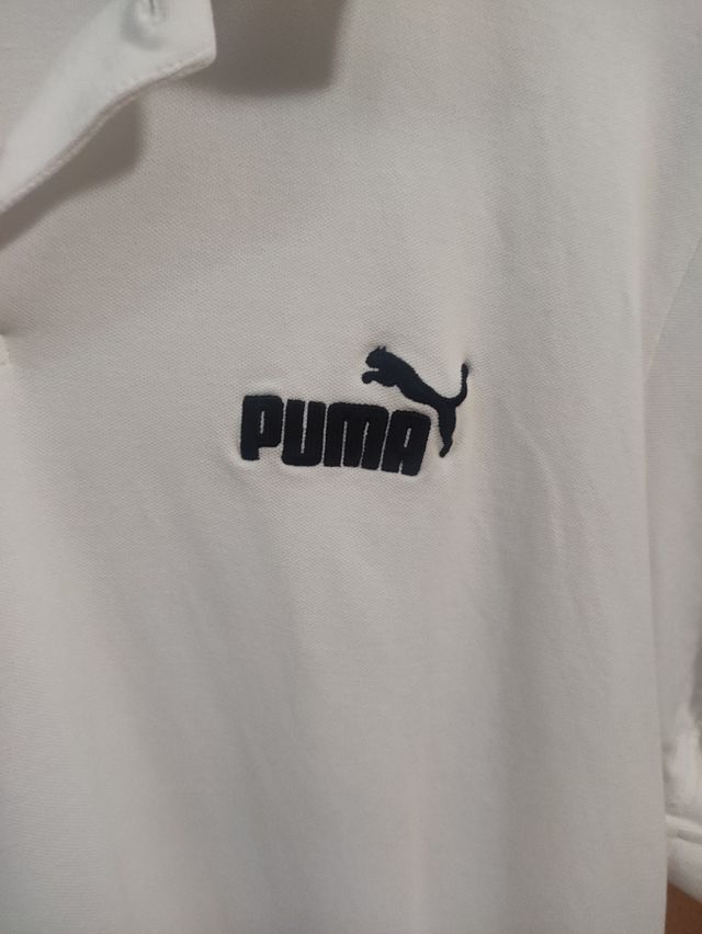 Polo Puma