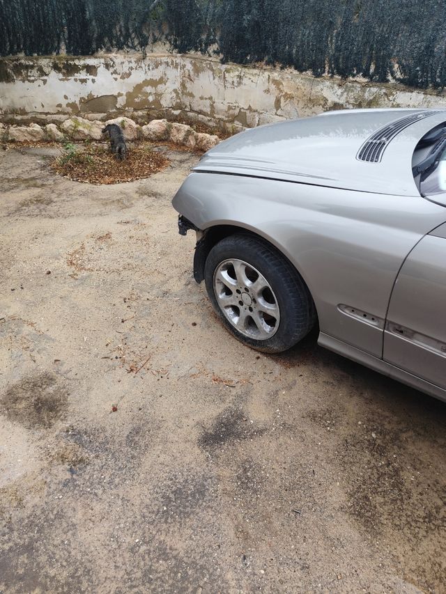 Aleta Mercedes CLK 2005