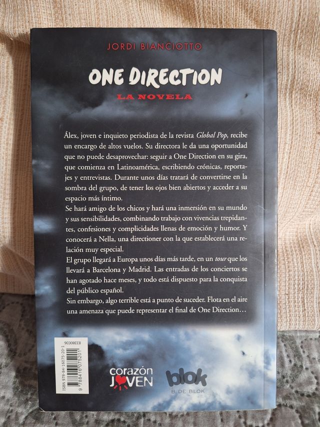 One Direction. La novela no oficial
