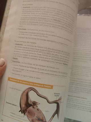 Anatomía Aplicada.