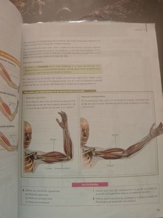 Anatomía Aplicada.