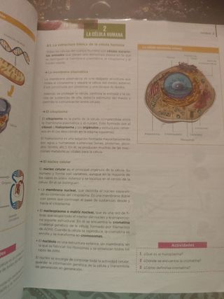 Anatomía Aplicada.