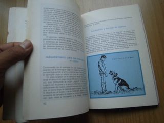 CÓMO ADIESTRAR AL PERRO PARA LA GUARDA DE VECCHI