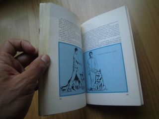 CÓMO ADIESTRAR AL PERRO PARA LA GUARDA DE VECCHI