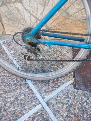 Bicicleta montaña BH TopLine