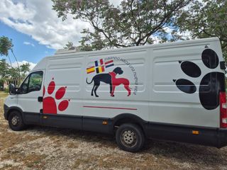 Transportes de perros y gatos
