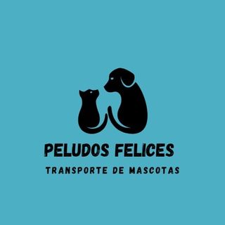 Transportes de perros y gatos