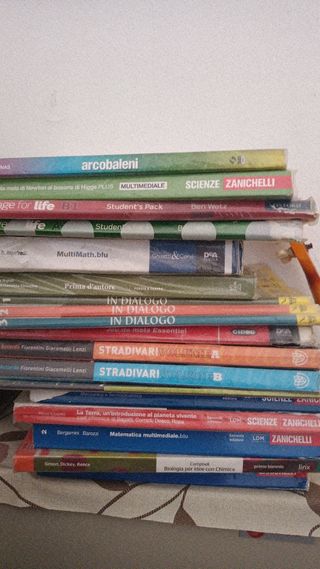 Libri scolastici 