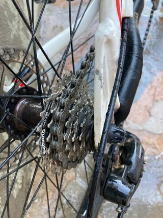 Bicicleta orbea de montaña