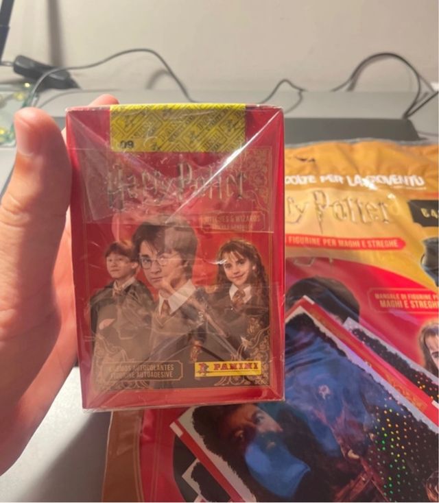 Panini Harry Potter - Box Figurine con Album