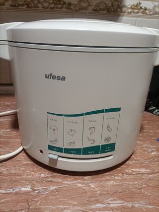 Freidora de aceite industrial