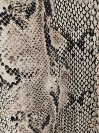 Camisa serpiente multicolor