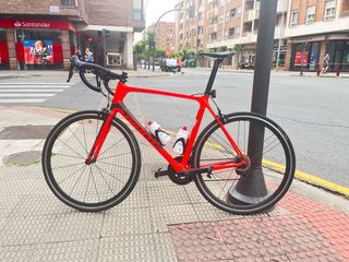 Giant Tcr 2019 talla L Carbono