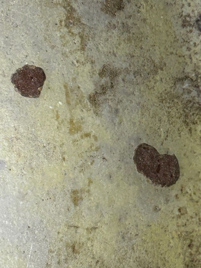 Lebrillo/Piatto rustico dipinto a mano