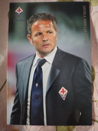 Cartolina Fiorentina Mihajlovic 2010-11