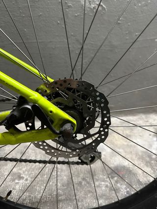 Specialized Rockhopper 29”