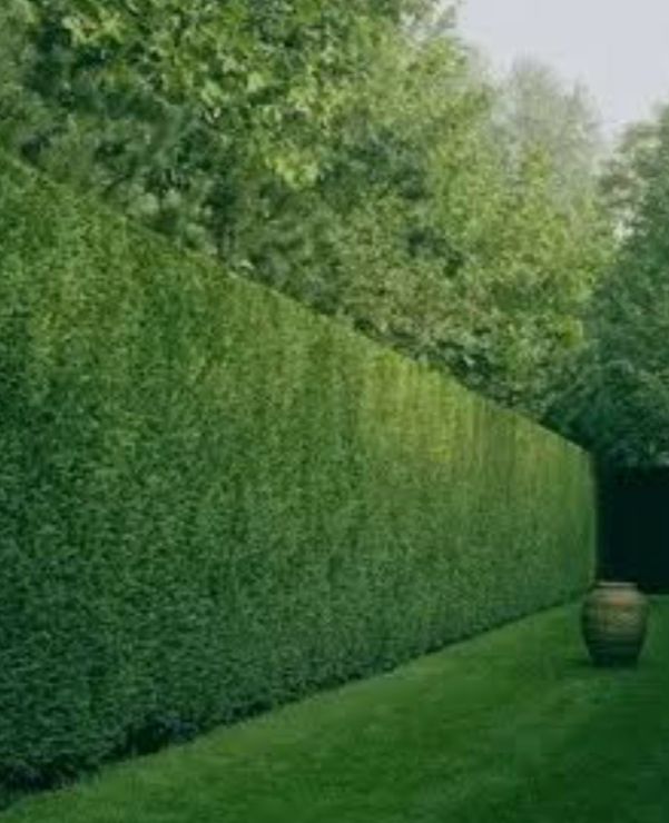 Servicios jardinería