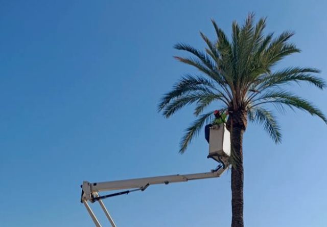 Servicios jardinería