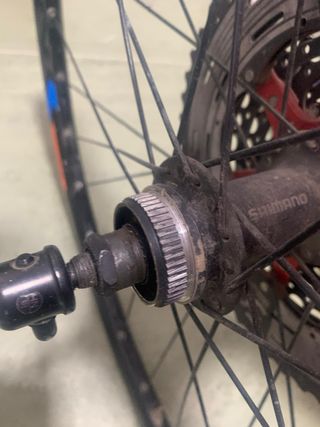 Rueda bici 29" Shimano - Aluminio