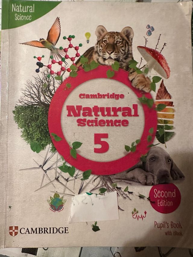 Cambridge Natural Science Level 5 Pupil's Book ...