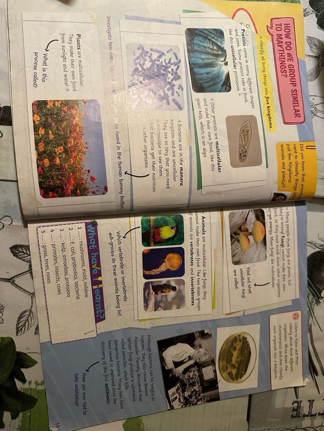 Cambridge Natural Science Level 5 Pupil's Book ...