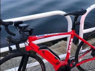 Bicicleta eléctrica BIBOO Cobra