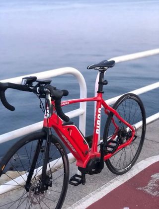 Bicicleta eléctrica BIBOO Cobra