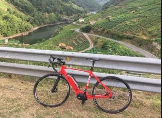 Bicicleta eléctrica BIBOO Cobra