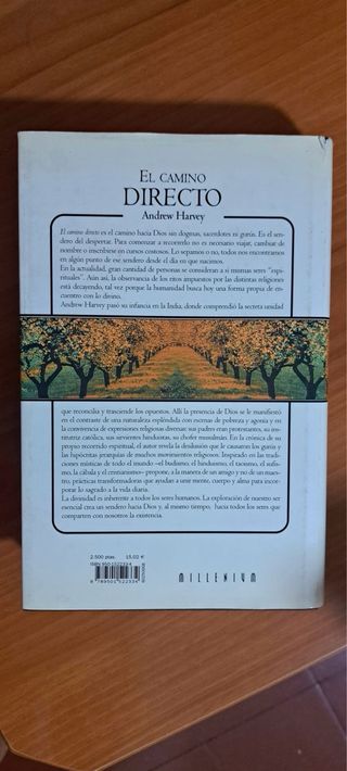 El camino directo/ The Direct Path 