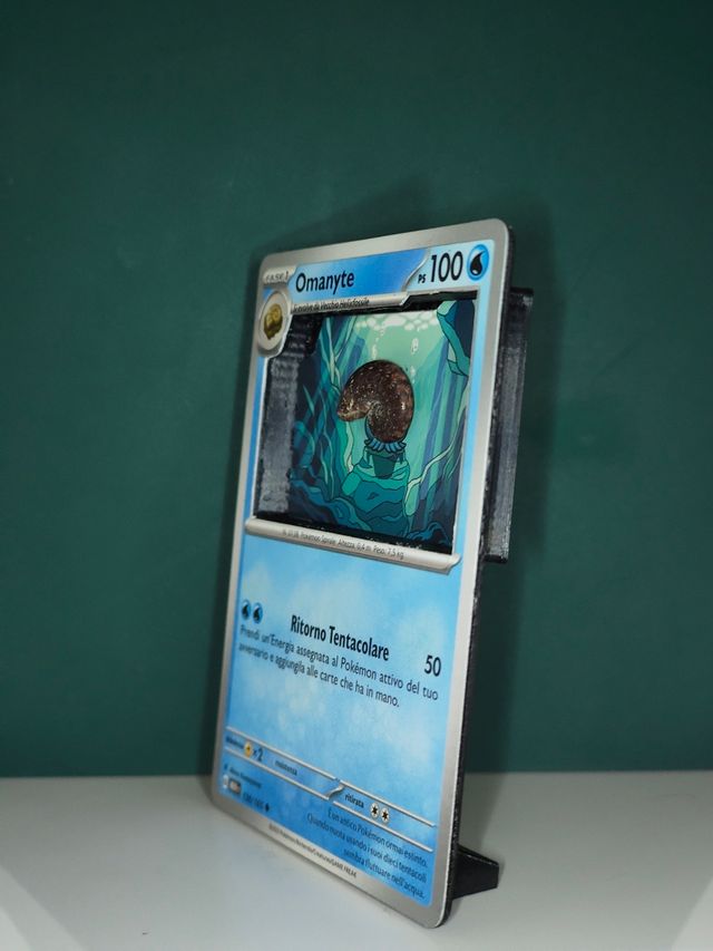 Omanyte-Espositore fossile ammonite 