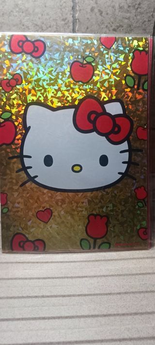 Biglietto maxi Hello Kitty riflettente