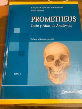 Prometheus Anatomia cabeza y neurona atómia