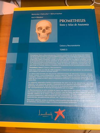 Prometheus Anatomia cabeza y neurona atómia