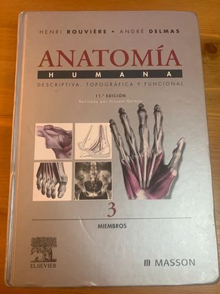 Rouviere anatomía humana miembros tomó 3