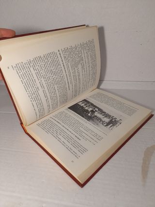 Y  FUIMOS ALBINEGROS FÚTBOL