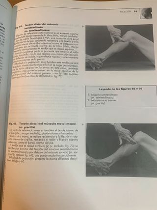 ATLAS DE ANATOMÍA PALPATORIA DE LA EXTREMIDAD INFE