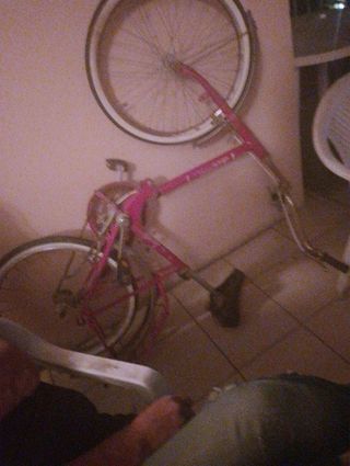 Bicicleta vintage clásica vende 