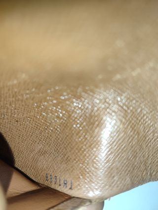 Cartera Louis Vuitton marrón