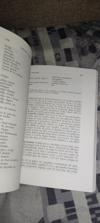 Psicología y adiestramiento del perro