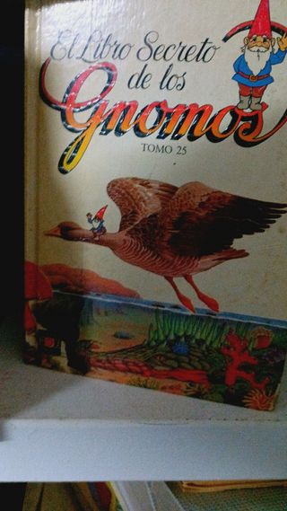 Libro Gnomos: El Secreto