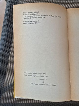 Harper Lee, Il buio oltre la siepe