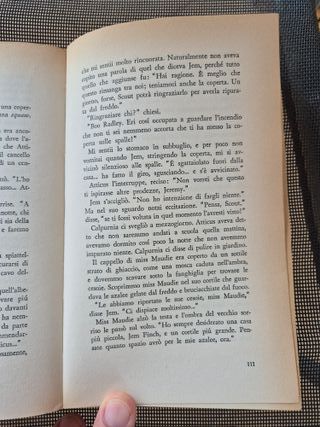 Harper Lee, Il buio oltre la siepe