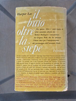 Harper Lee, Il buio oltre la siepe
