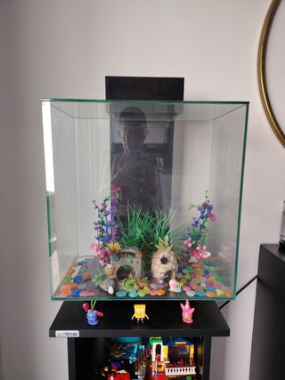 Acuario con decoraciones y cosas de Bob esponja 