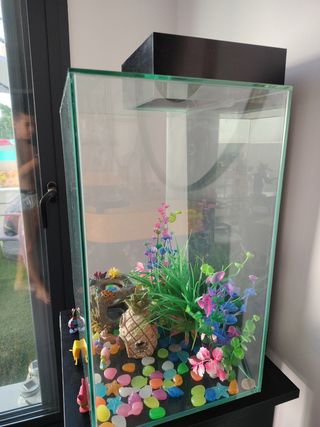 Acuario con decoraciones y cosas de Bob esponja 