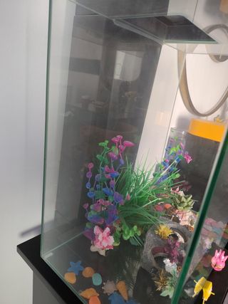 Acuario con decoraciones y cosas de Bob esponja 