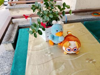 2 Peluche: Paperino & gattino