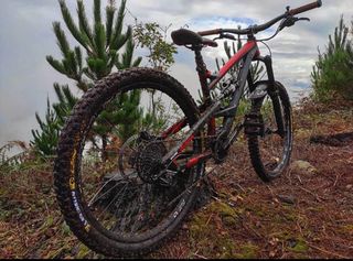Bicicleta YT Capra AL Comp 2017
