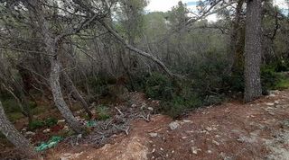 Terreno en venta en Mas Alba en Sant Pere de Ribes